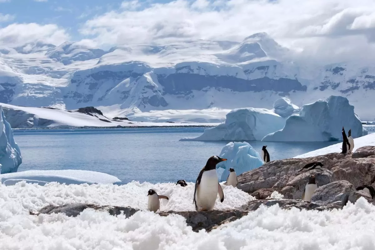Antártida: O Continente Gelado