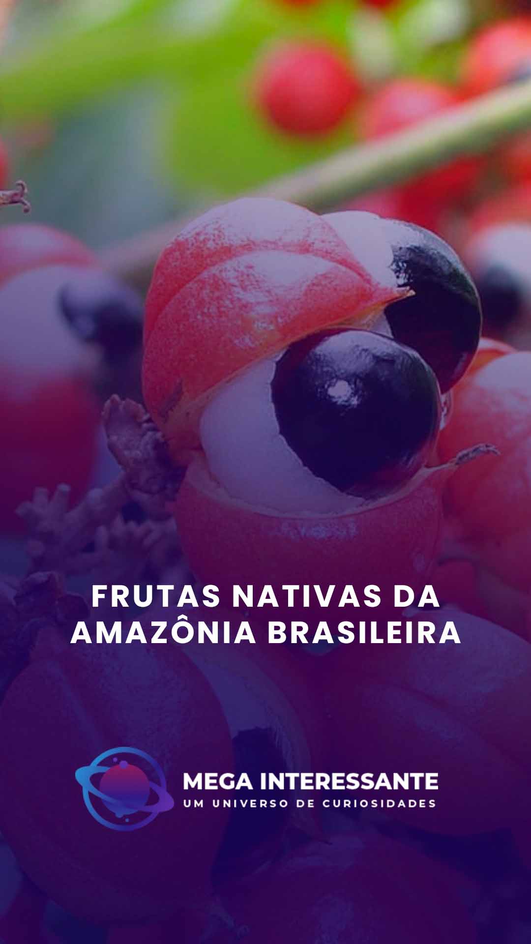 Frutas Nativas da Amazônia Brasileira