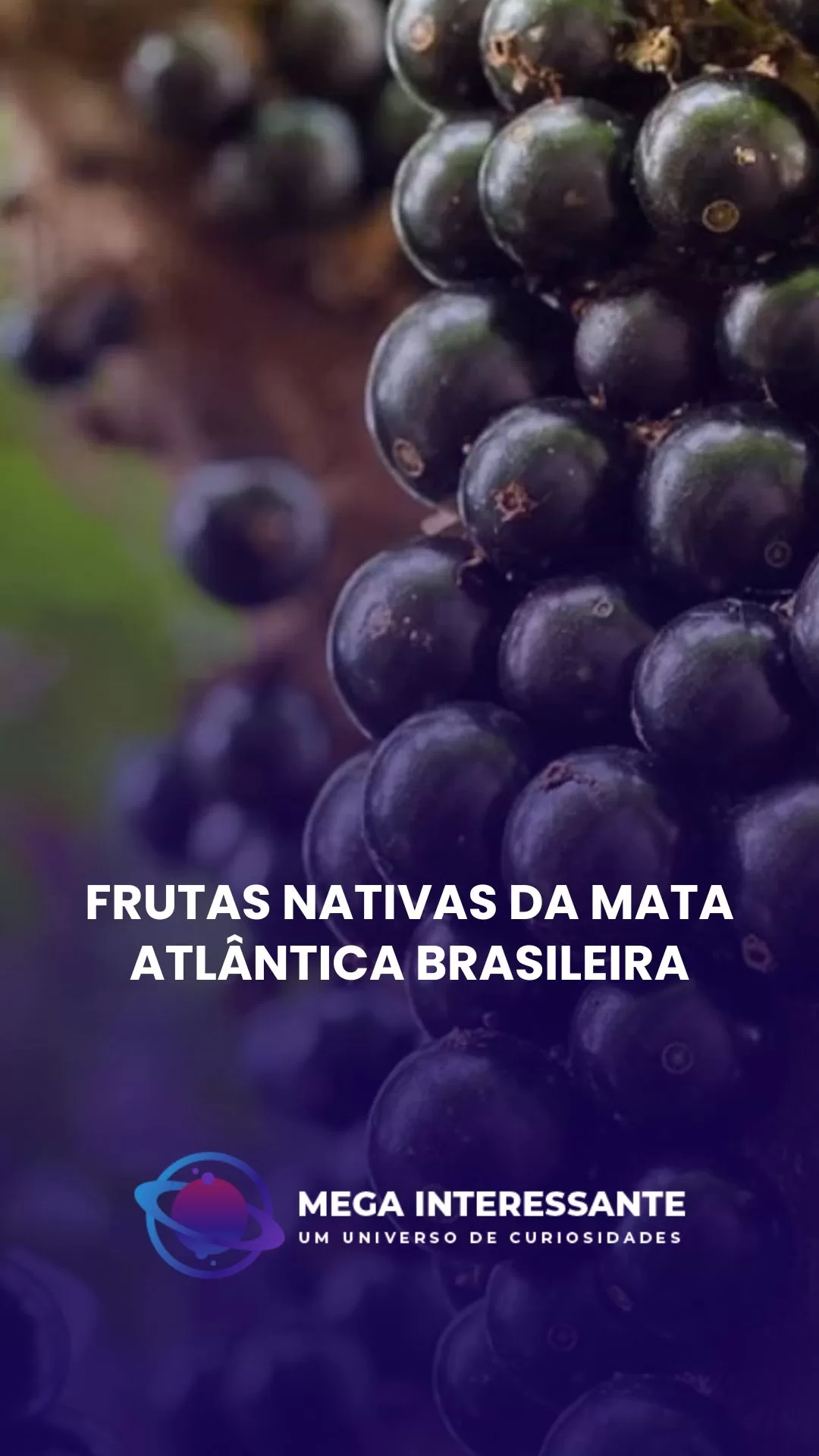 Frutas Nativas da Mata Atlântica Brasileira